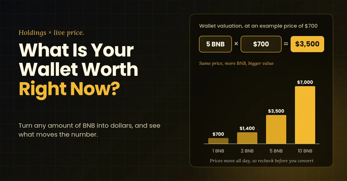 How Much Is 1 BNB Worth in USD? BNB Wallet Valuation