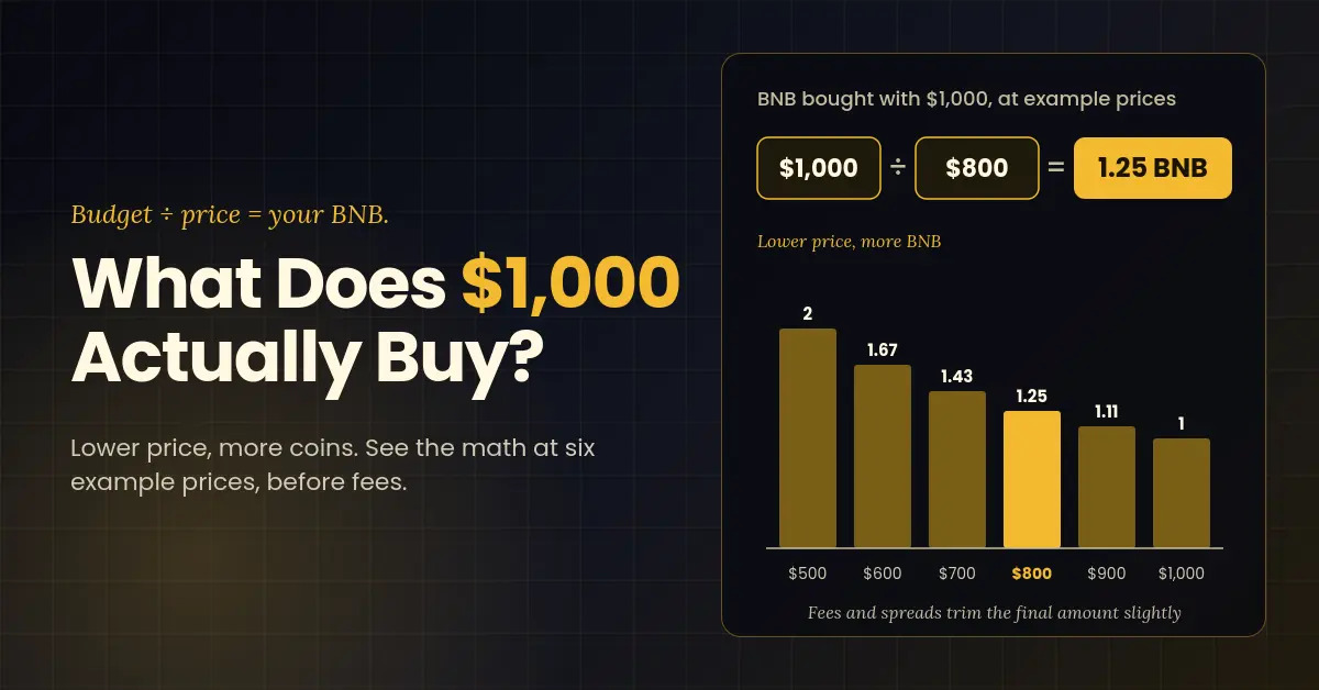 1790676676039038517.jpg 41_1,000 Budget for BNB Coin_ Quick Buy Estimate.jpg